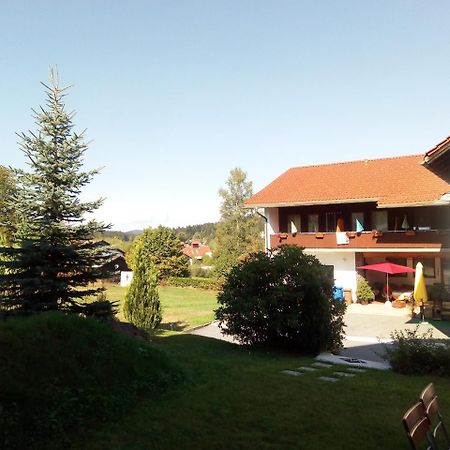 Pension Waldblick Spiegelau Esterno foto