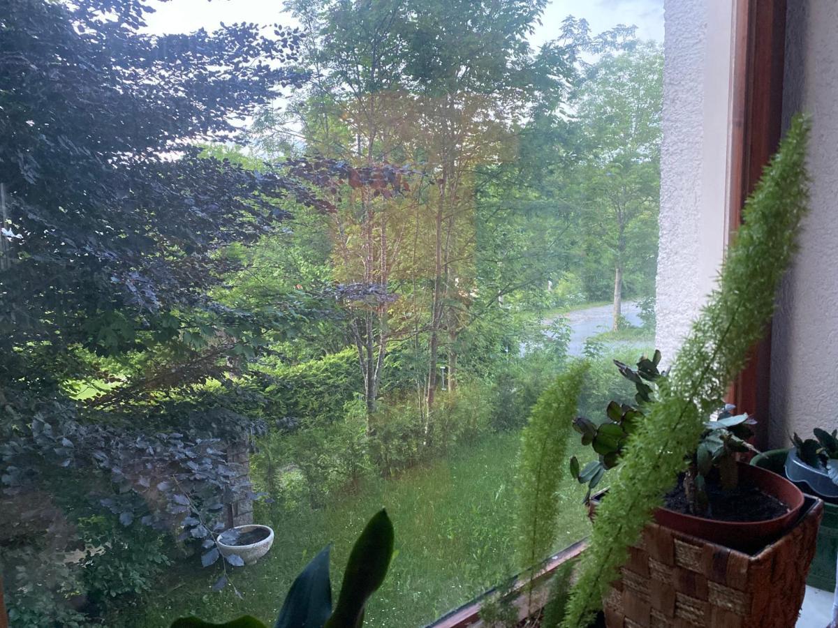 Pension Waldblick Spiegelau Esterno foto