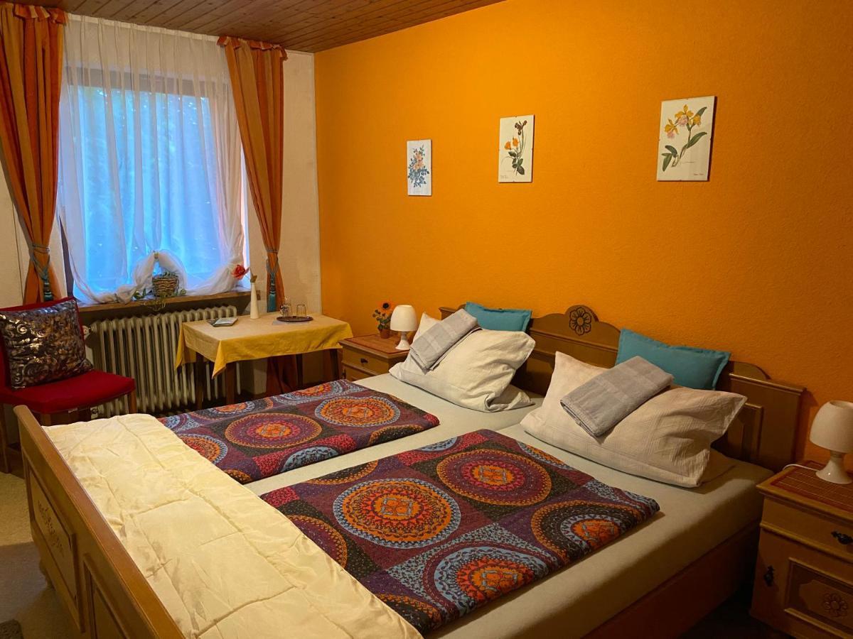 Pension Waldblick Spiegelau Esterno foto