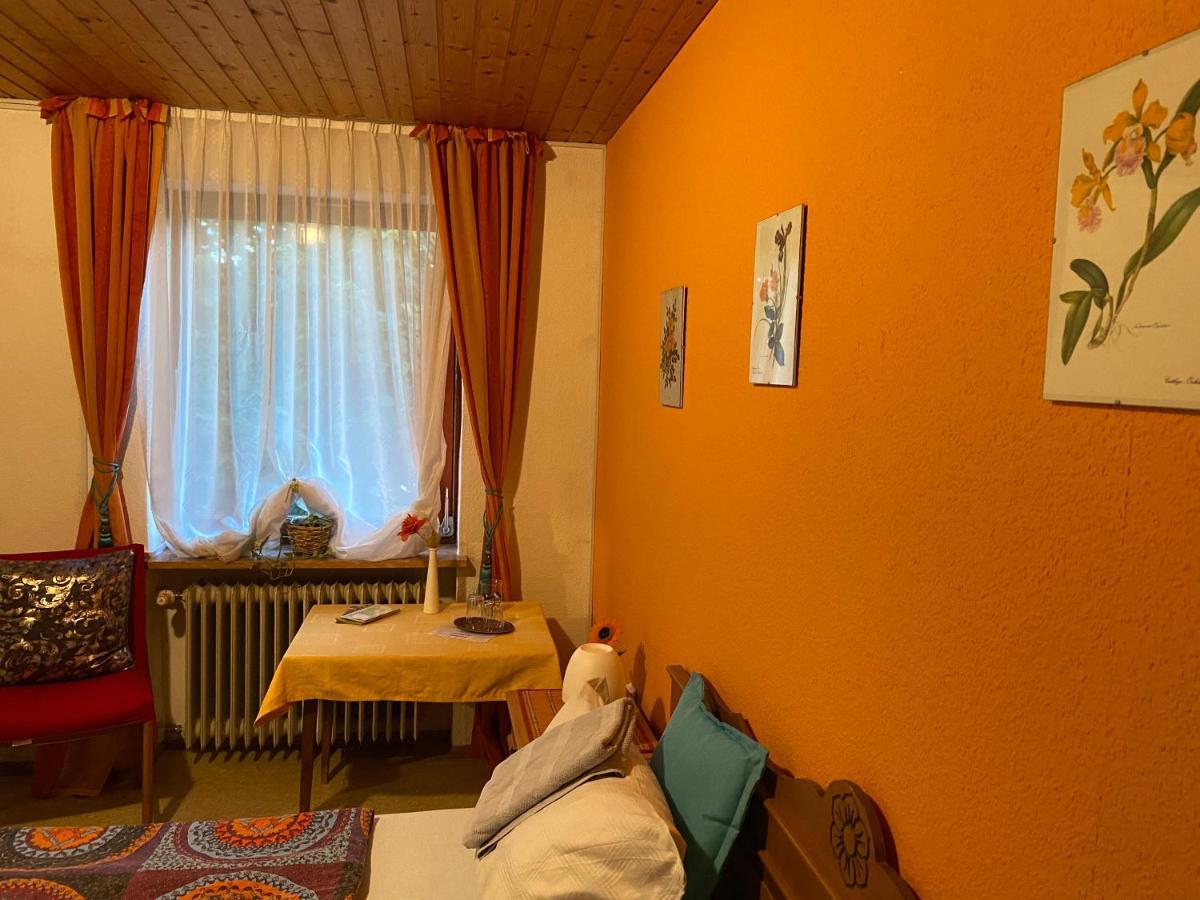 Pension Waldblick Spiegelau Esterno foto