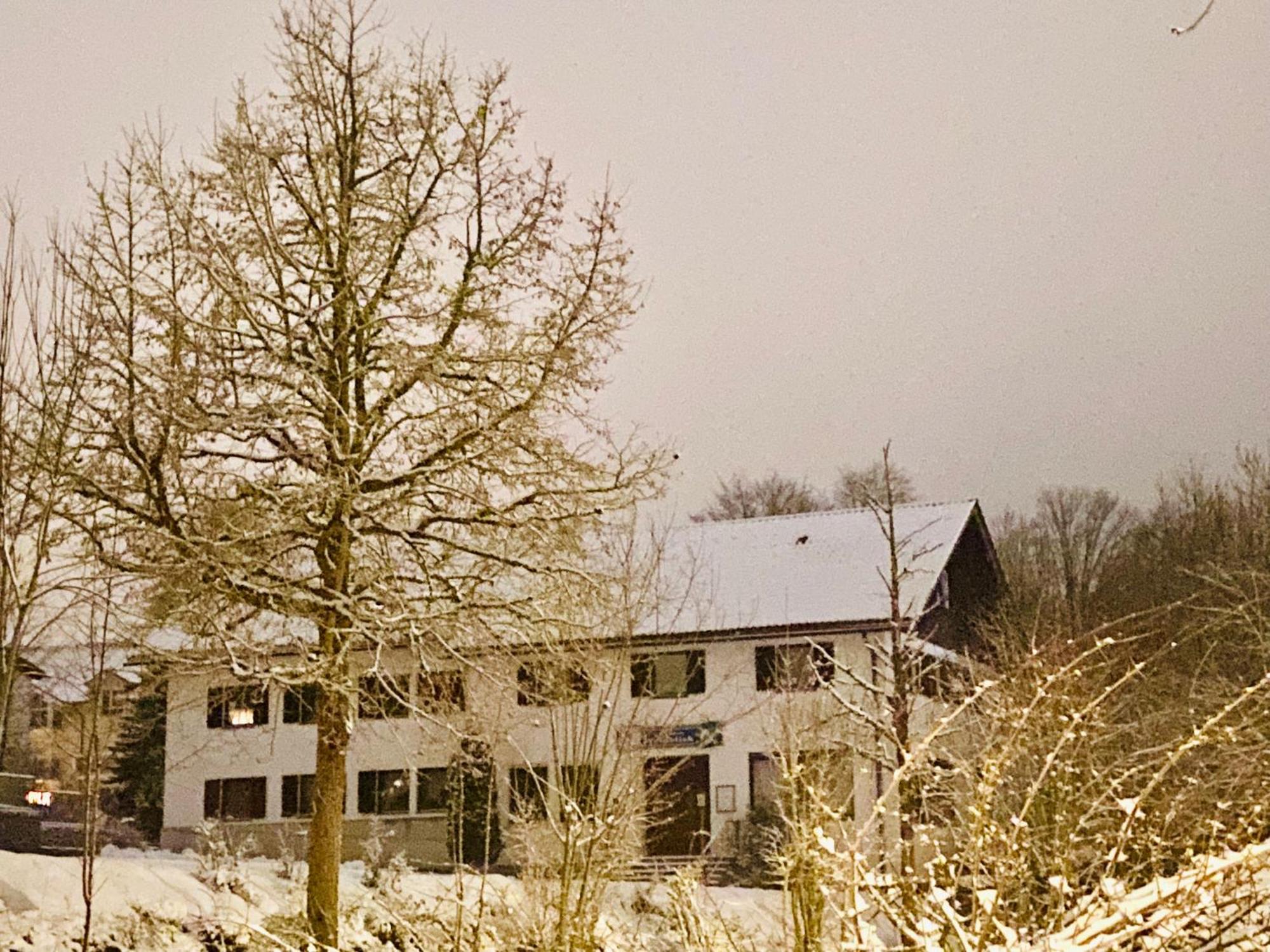 Pension Waldblick Spiegelau Esterno foto