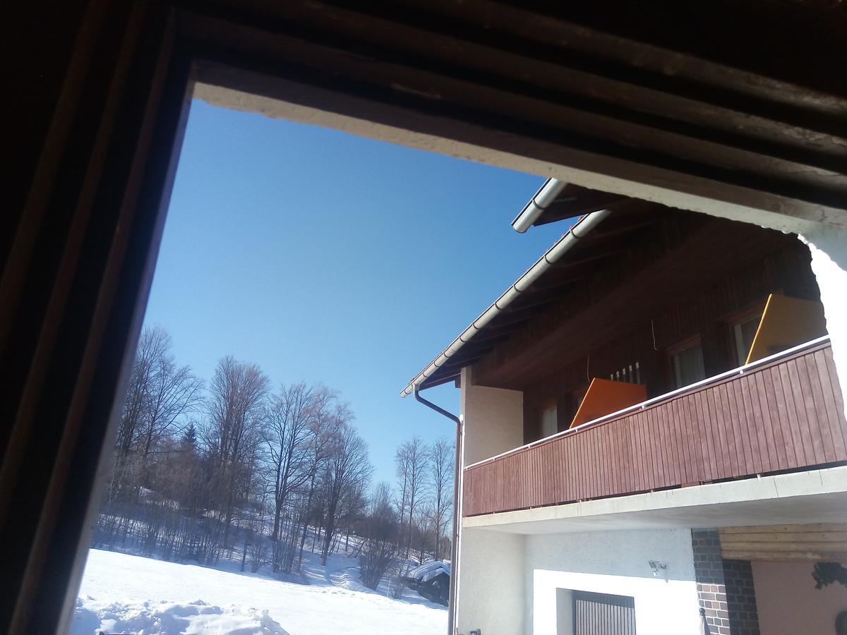 Pension Waldblick Spiegelau Esterno foto