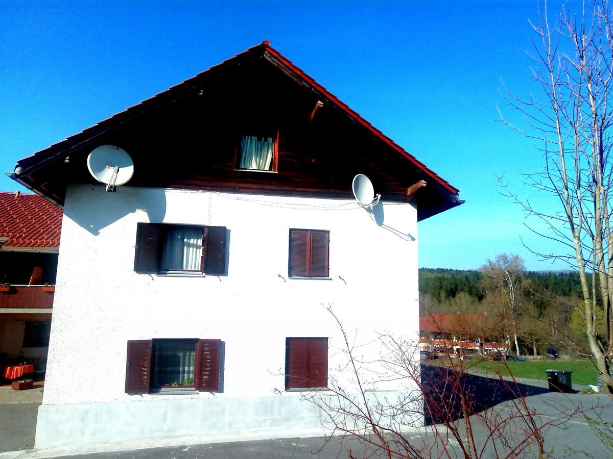 Pension Waldblick Spiegelau Esterno foto