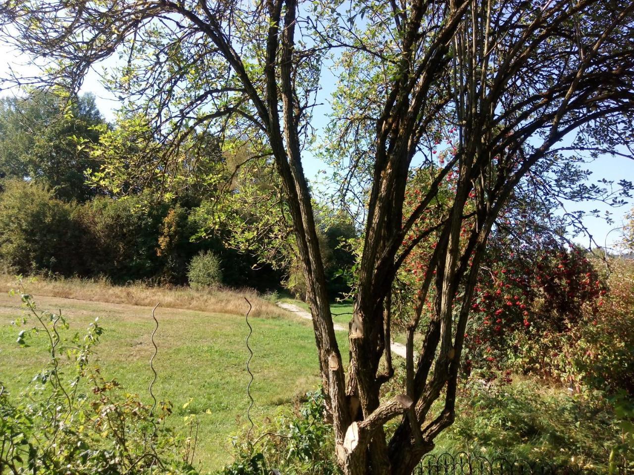 Pension Waldblick Spiegelau Esterno foto