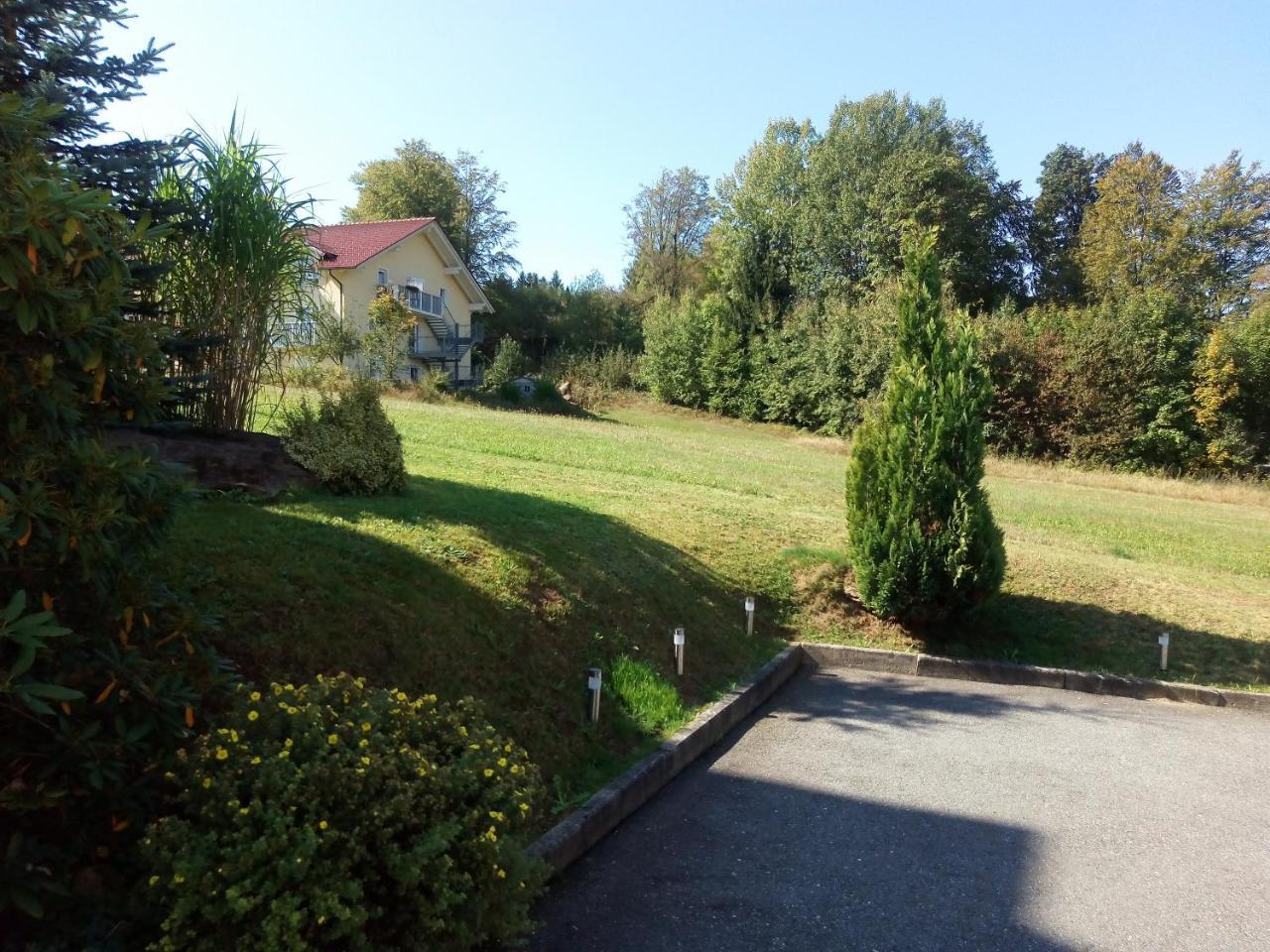 Pension Waldblick Spiegelau Esterno foto