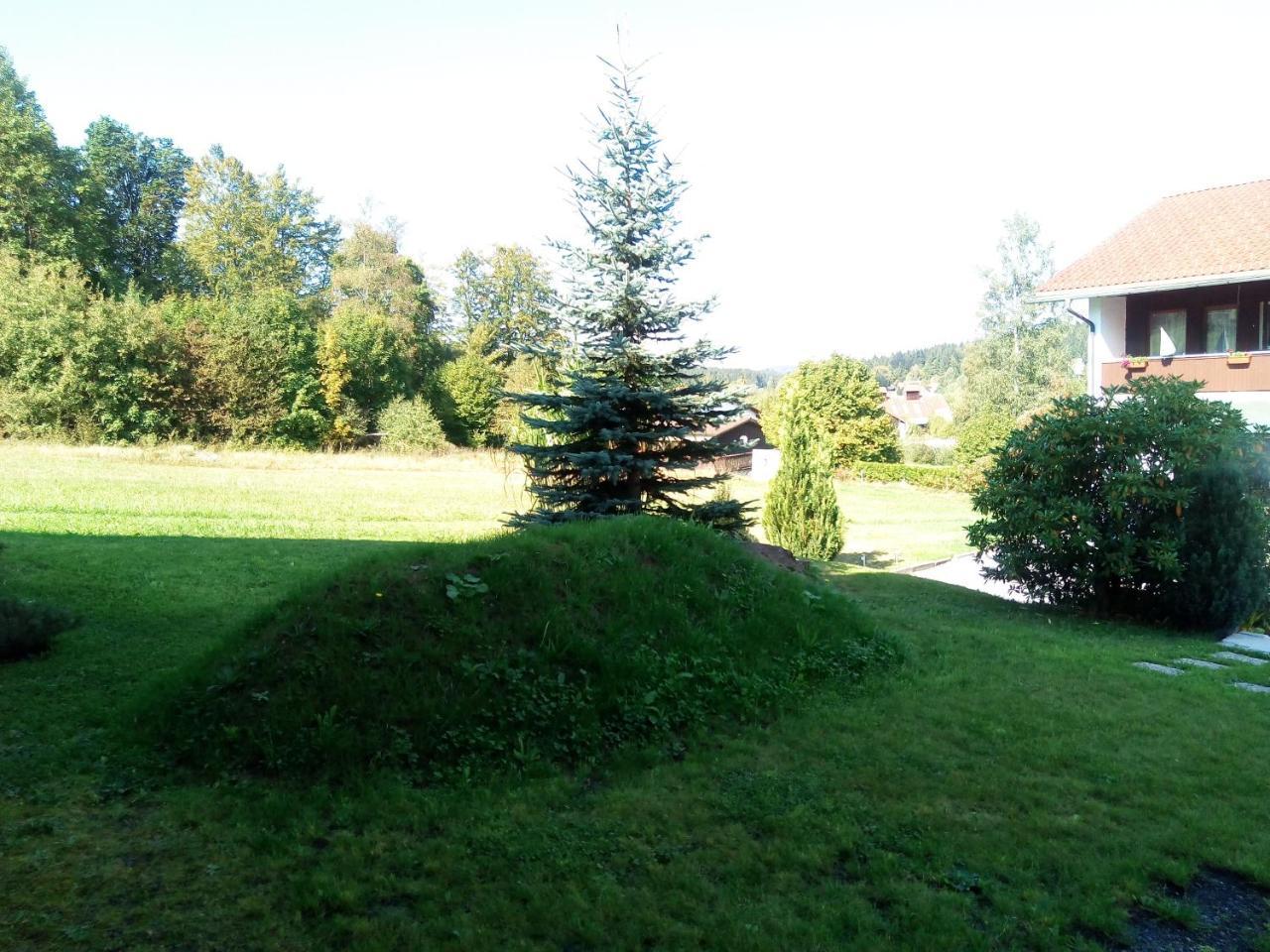 Pension Waldblick Spiegelau Esterno foto